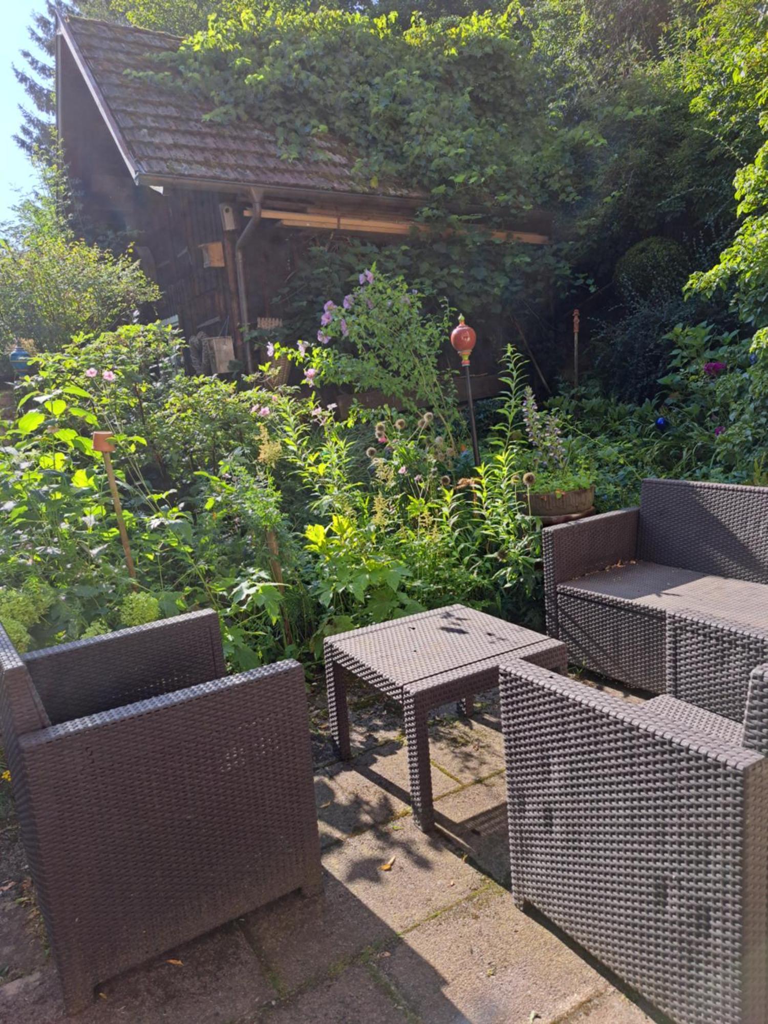 Naehe Nationalpark Apartment Baiersbronn Exterior photo